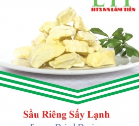 Sầu Riêng Sấy Lạnh